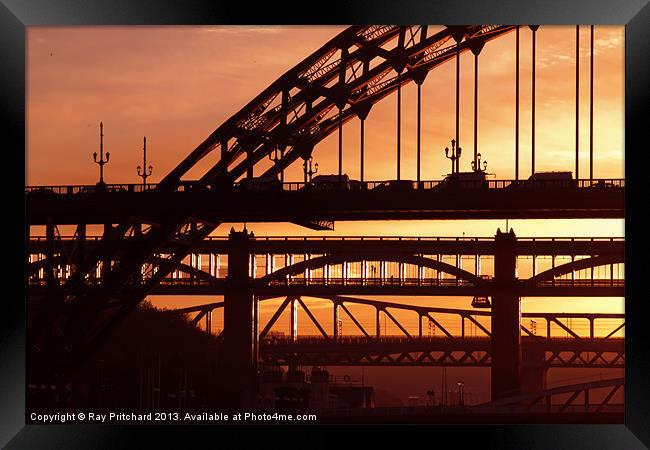 Newcastle Bridges at Sunset Framed Print by Ray Pritchard