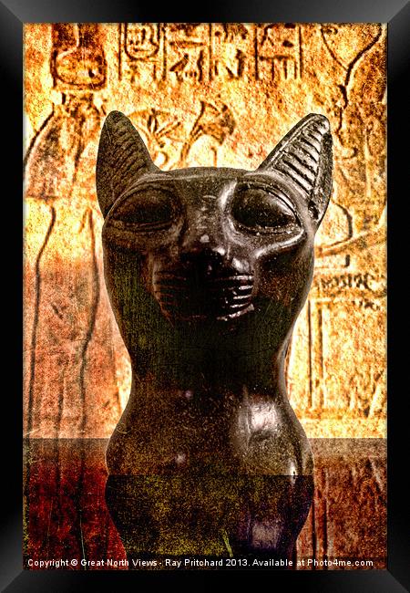Egyptian Cat Framed Print by Ray Pritchard