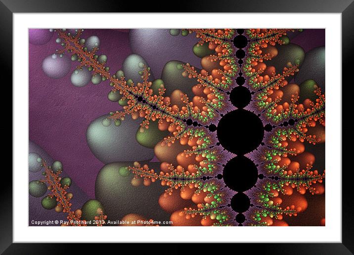 Textured  Bubble Fractal Framed Mounted Print by Ray Pritchard