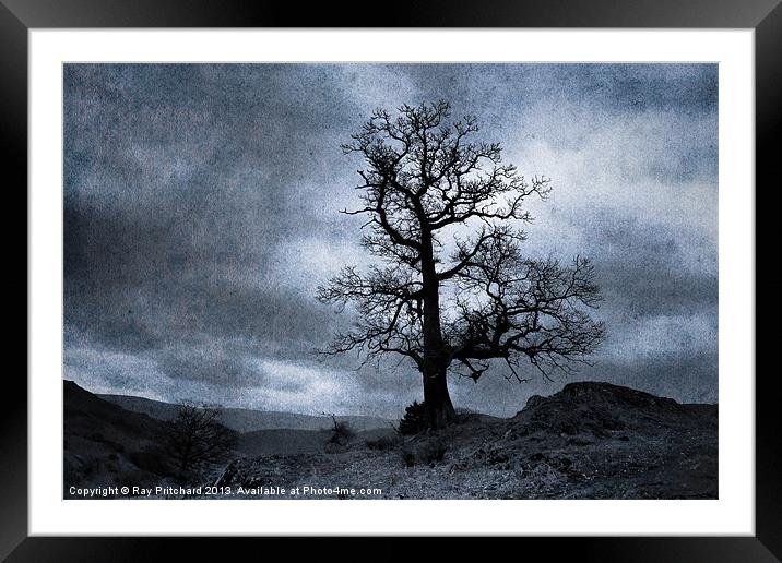 Dark Tree Framed Mounted Print by Ray Pritchard