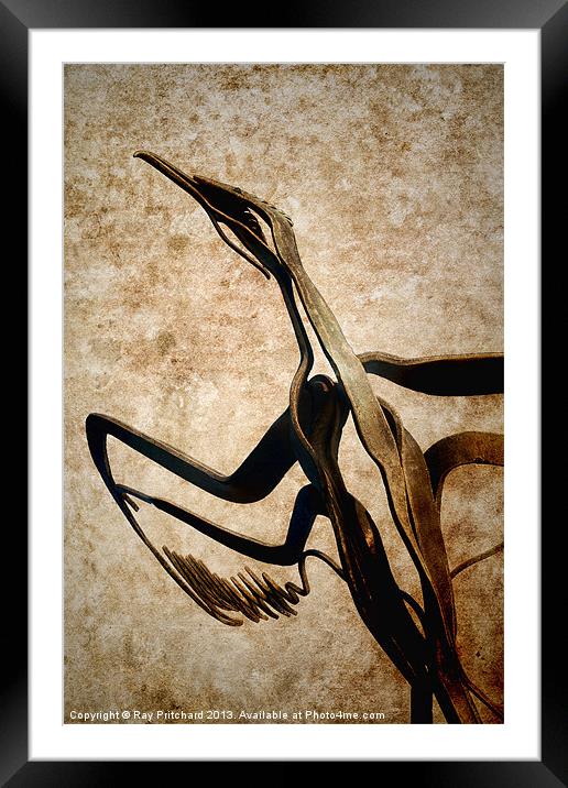 Taking Flight Framed Mounted Print by Ray Pritchard