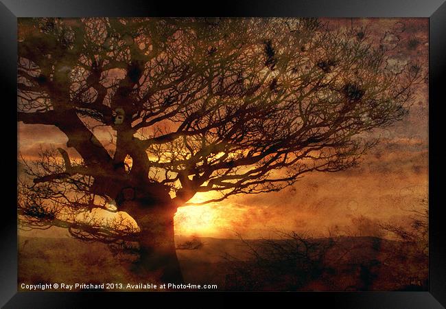 Sunset Over Beamish Framed Print by Ray Pritchard