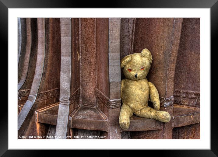 Bear Angel Framed Mounted Print by Ray Pritchard