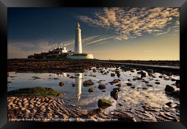 St Marys Lighthouse Framed Print by Ray Pritchard