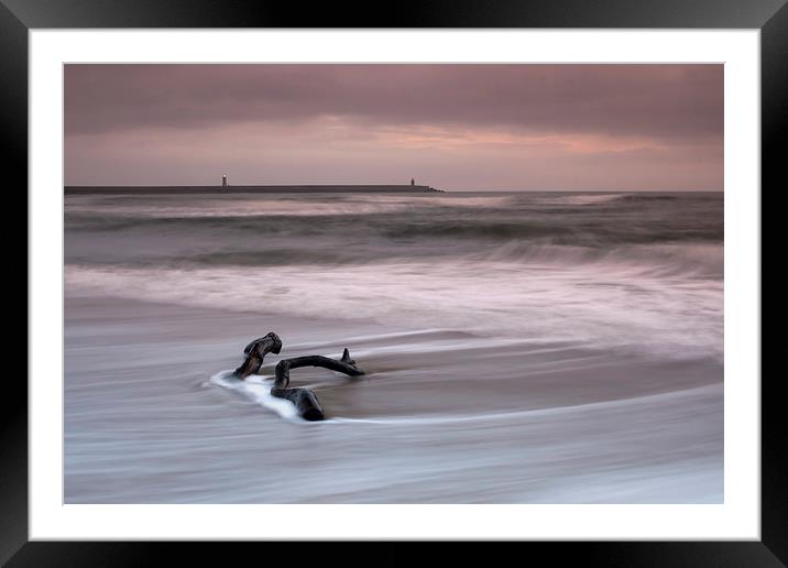 Washed Up Branch Framed Mounted Print by Ray Pritchard