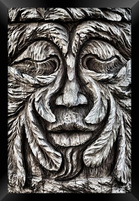 Oi Oak Head! Framed Print by Ray Pritchard