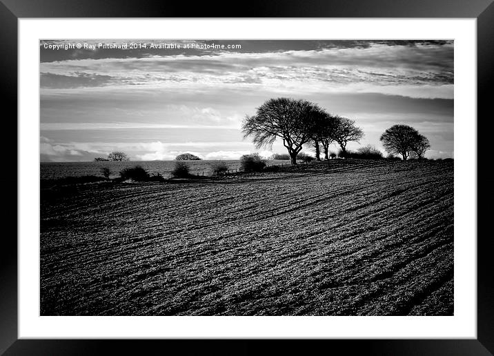 Winter Fields Framed Mounted Print by Ray Pritchard