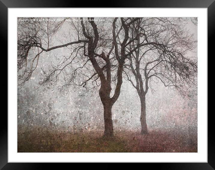 Trees In The Mist Framed Mounted Print by Ray Pritchard