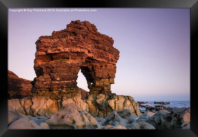 Rock Arch at Whitburn Point Framed Print by Ray Pritchard