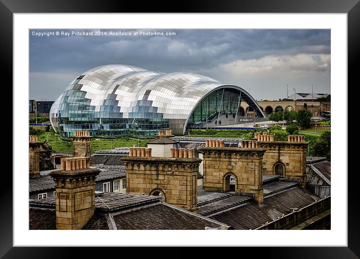 The Sage over Rooftops Framed Mounted Print by Ray Pritchard