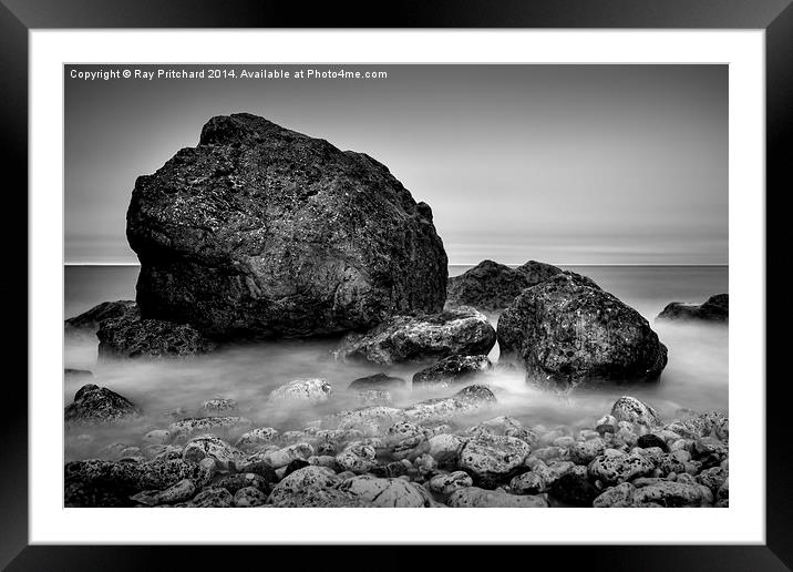 Dark Trow Framed Mounted Print by Ray Pritchard