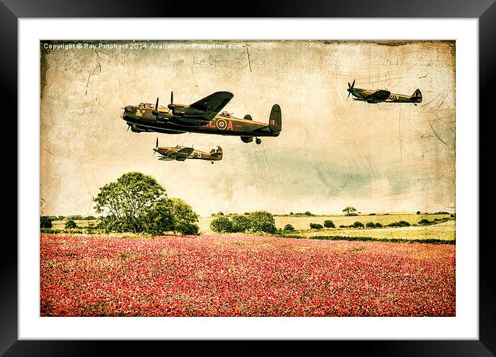 Battle of Britain Memorial Flight Over Poppies Framed Mounted Print by Ray Pritchard