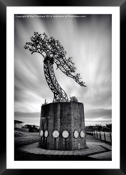  Metal Tree Framed Mounted Print by Ray Pritchard