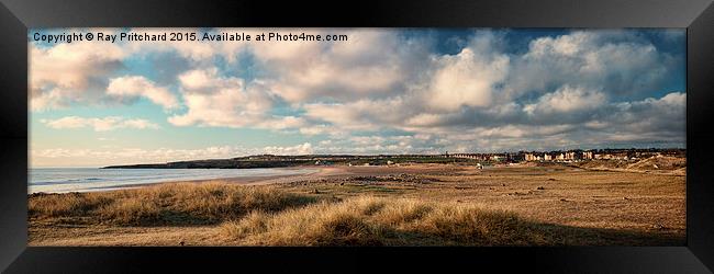 Sandhaven Beach Framed Print by Ray Pritchard