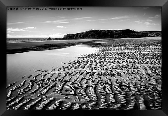  Sandhaven Beach Framed Print by Ray Pritchard