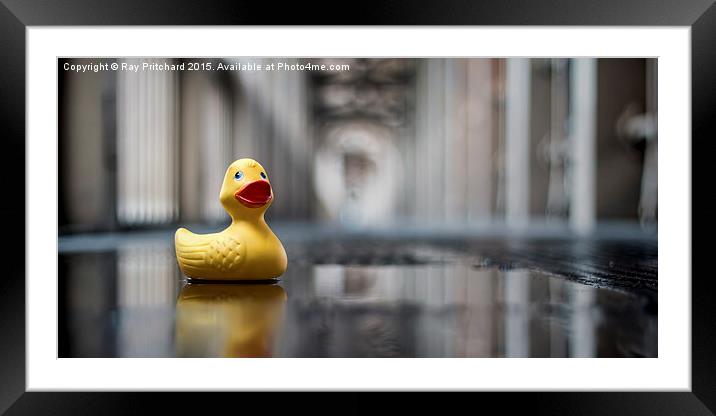  Toy Duck on the Level Framed Mounted Print by Ray Pritchard