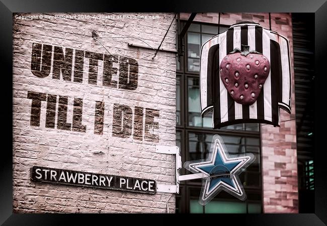  United Till I Die Framed Print by Ray Pritchard