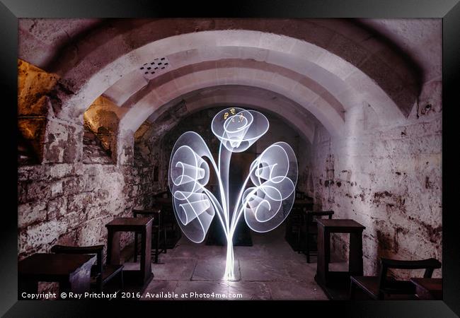 Light Tree in the Crypt Framed Print by Ray Pritchard