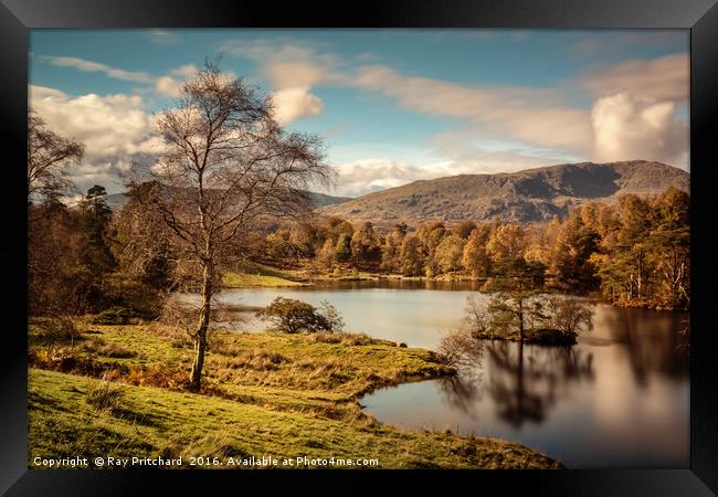 Tarn Hows Framed Print by Ray Pritchard