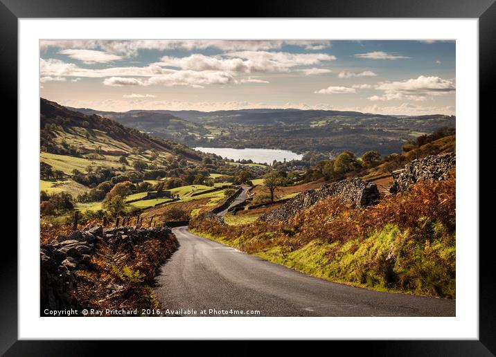 The Struggle  Framed Mounted Print by Ray Pritchard