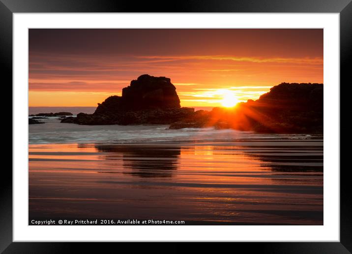 Sunrise at South Shields Beach Framed Mounted Print by Ray Pritchard