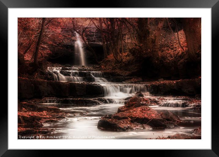Bowlees Beck Framed Mounted Print by Ray Pritchard