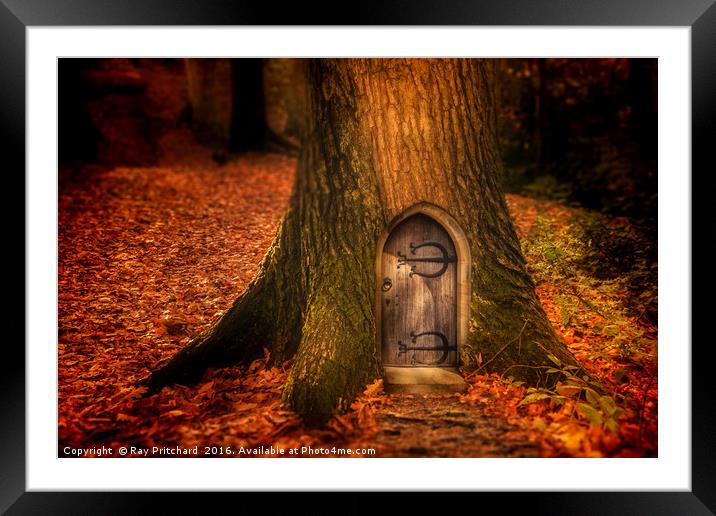 Fairydoor Framed Mounted Print by Ray Pritchard