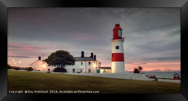 Souter Lighthouse  Framed Print by Ray Pritchard