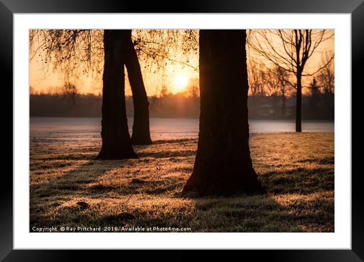 South Park Sunrise Framed Mounted Print by Ray Pritchard