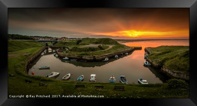 Seaton Sluice at Sunset Framed Print by Ray Pritchard
