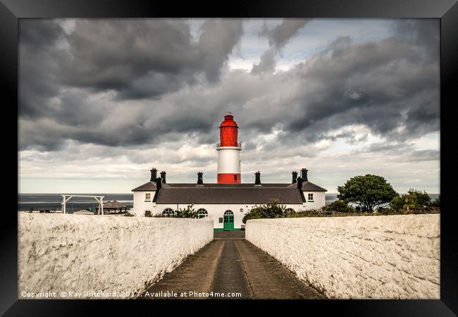Souter Lightouse Framed Print by Ray Pritchard