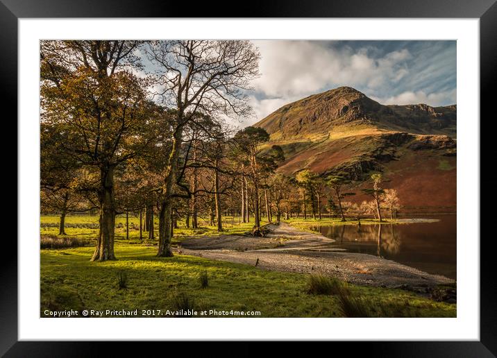 Buttermere Trees Framed Mounted Print by Ray Pritchard
