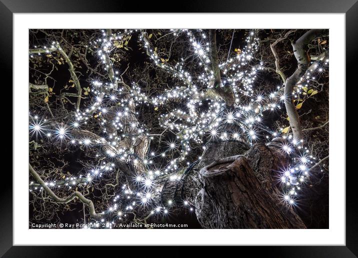 Christmas Lights  Framed Mounted Print by Ray Pritchard