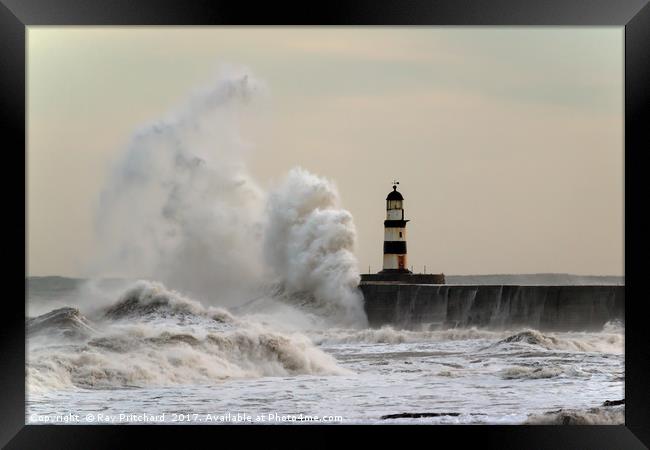 Wave Attack at Seaham Framed Print by Ray Pritchard