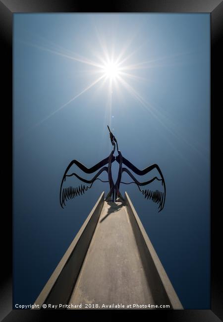 Taking Flight Framed Print by Ray Pritchard