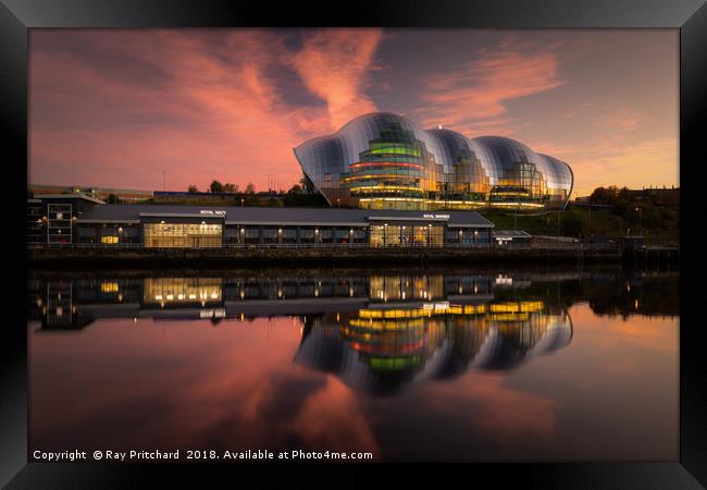 The Sage at Sunset Framed Print by Ray Pritchard