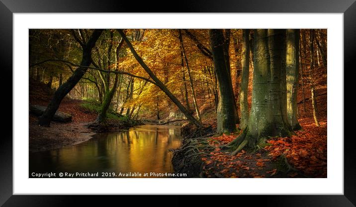 Ousbrough Woods   Framed Mounted Print by Ray Pritchard