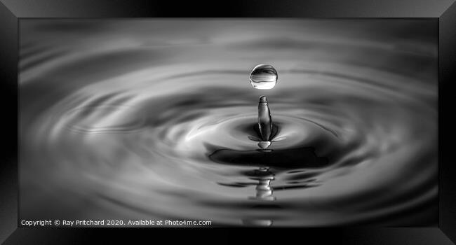 Water Drop  Framed Print by Ray Pritchard