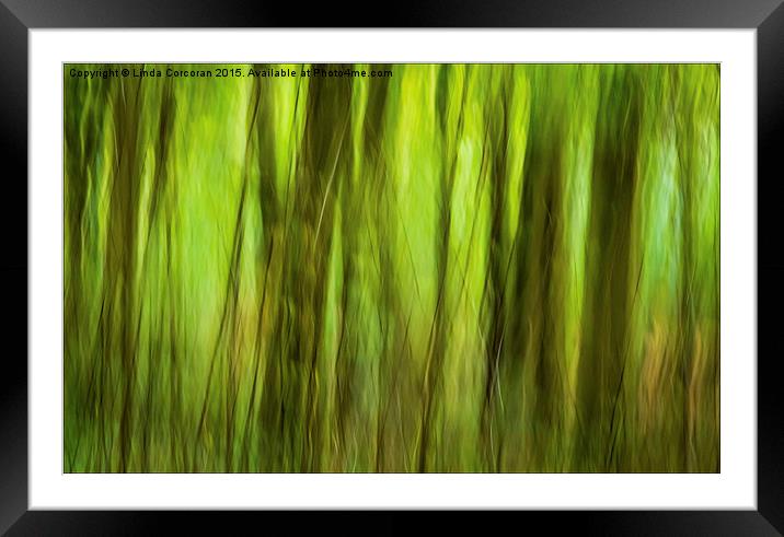 Woodland Light Framed Mounted Print by Linda Corcoran LRPS CPAGB