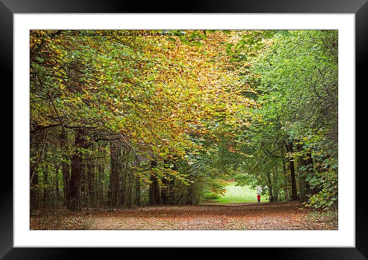 Woodland Walk Framed Mounted Print by Linda Corcoran LRPS CPAGB