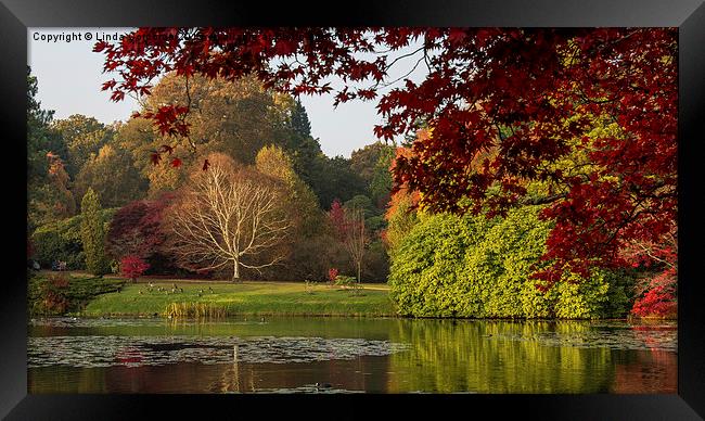  Autumn In Sheffield Park Framed Print by Linda Corcoran LRPS CPAGB