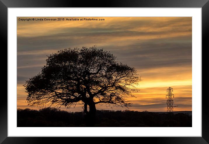  Lone Tree Sunset Framed Mounted Print by Linda Corcoran LRPS CPAGB