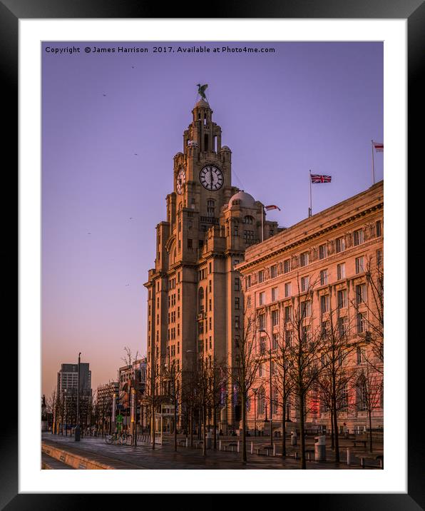 The Liver Building - Purple Skies Framed Mounted Print by James Harrison