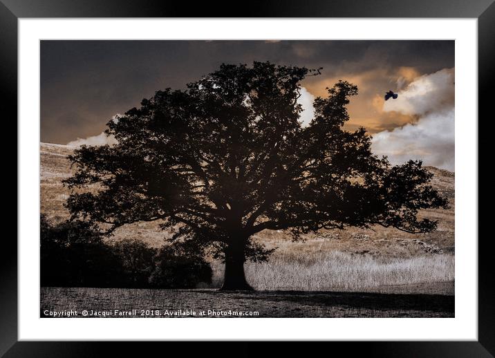 Gothic Tree Framed Mounted Print by Jacqui Farrell