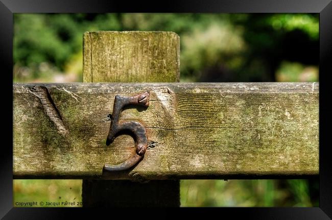 Fence Post Number 5 Framed Print by Jacqui Farrell