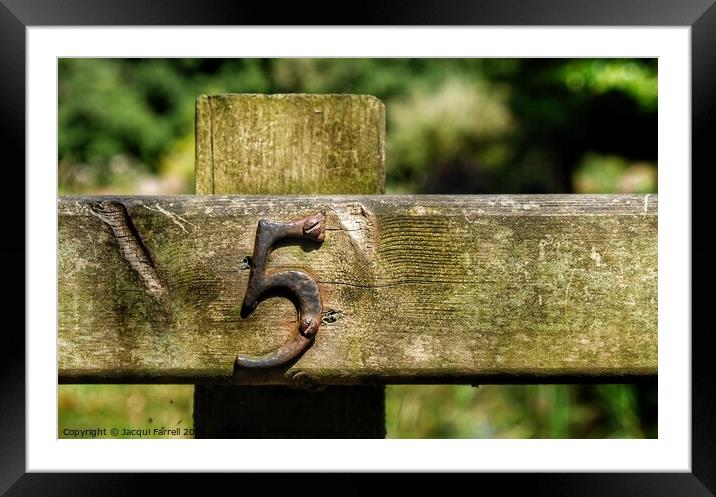 Fence Post Number 5 Framed Mounted Print by Jacqui Farrell