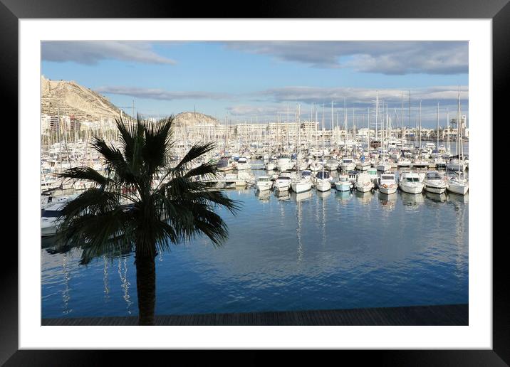 Alicante Harbour Spain  Framed Mounted Print by Jacqui Farrell