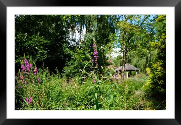 Gooderstone Water Gardens Norfolk Framed Mounted Print by Jacqui Farrell