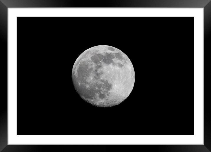 Luna Framed Mounted Print by chris smith