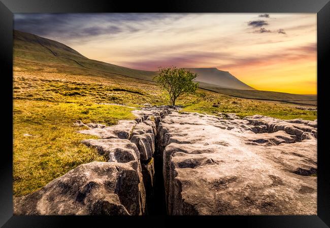 limestone pavement in the Yorkshire dales Framed Print by chris smith